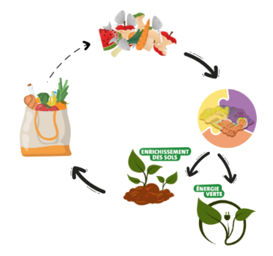 Le cycle vertueux de valorisation de biodéchets  alimentaires par Veolia