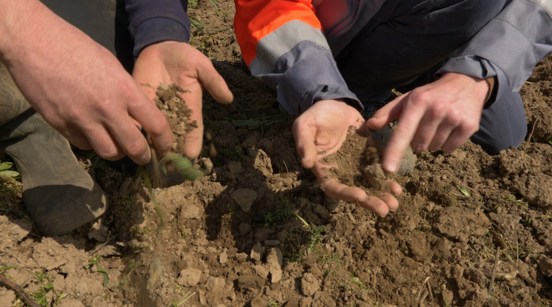 Veolia Agriculture : acteur de la fertilisation organique durable